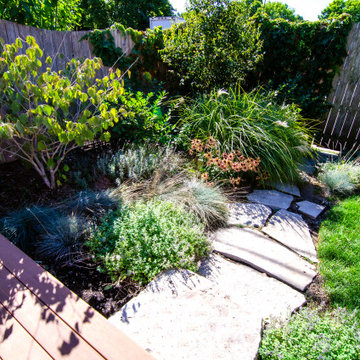 Modern Home Dry Creek