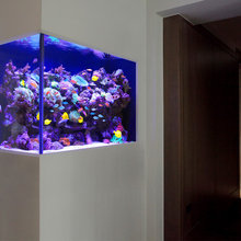 bar area aquarium