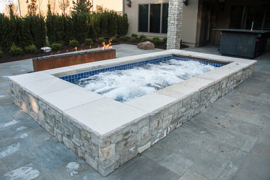 Pool - contemporary pool idea in Other
