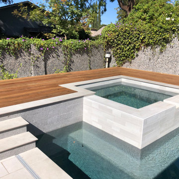 Pool & Deck Remodel