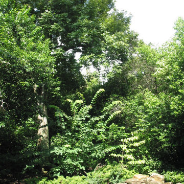 On Buffalo Bayou