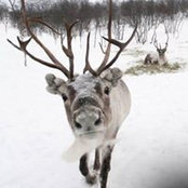 Pascal Armagnac's photo