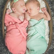 Liz Krieger's photo