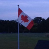 Sue MacDonald's photo