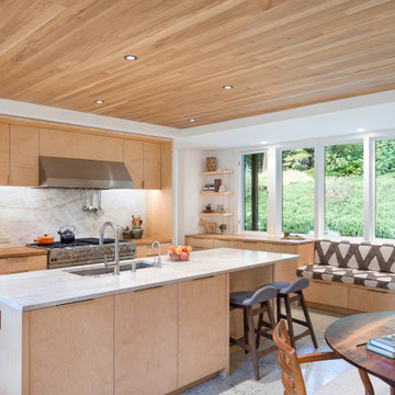 Mid Century Modern Update