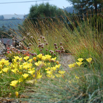 Green Roof Garage for Growing Family