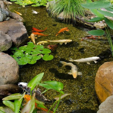 Will A Skimmer Reduce Maintenance Of My Small Pond In Rochester NY?