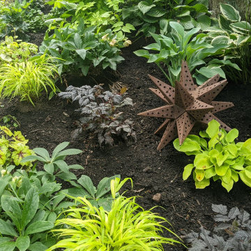 Shade Garden/Moon Garden/Fairy Garden