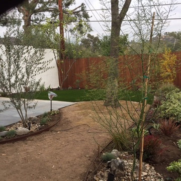 Backyard Garden