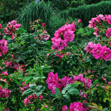 GARDENS