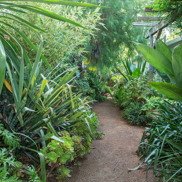 My Houzz: A Travel-Inspired Tropical Oasis in California