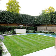 pool/landscaping