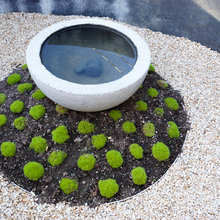 around water feature