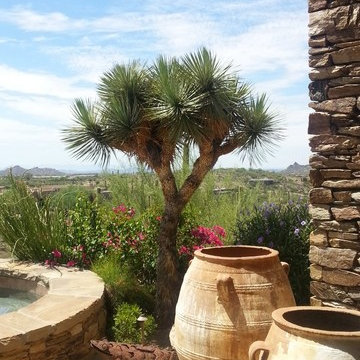 Desert Landscapes