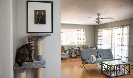 Pet’s Place: This Home Is Tailor-Made for Dogs and Cats