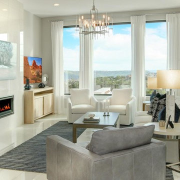 Contemporary Living Room