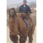 Brady Wiesner's photo