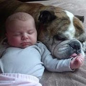 Lora LoMedico's photo