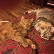Judy Meyer's photo