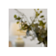 Foto de Showcase Property Styling