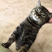 Eric Erickson's photo
