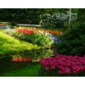 Rosemary King Burgio's photo