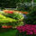 webuser_827754
