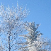 Melanie Picard's photo