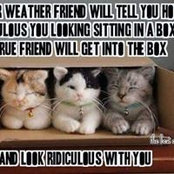 Sue Herren's photo