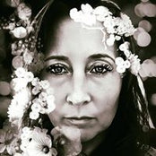 Amy Nicolo's photo