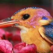 Paul Van Beveren's photo