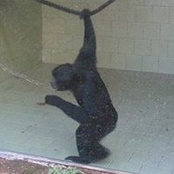 Andrea Sancetta's photo