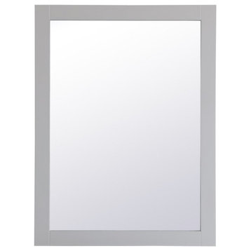 24" Contemporary Grey-Light Vanity Mirror