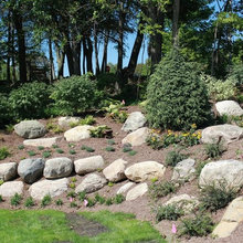 Hill Landscaping In Backyard
