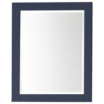 Avanity 24" Mirror Cabinet, Navy Blue