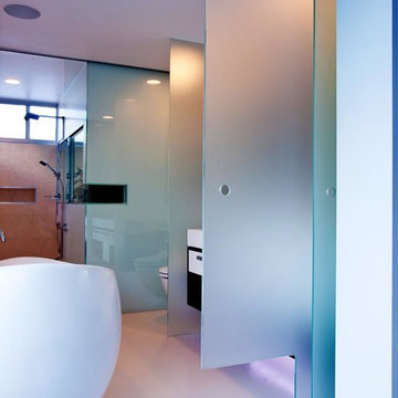 Frameless Shower Screens made from Opaque Glass