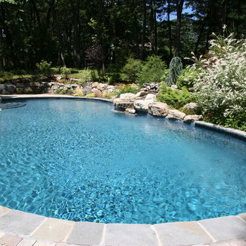 Natural Surroundings with Slide