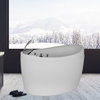 59" Freestanding Air Jets Bathtub Mirco Bubble Hydrotherapy Oval Japanese SPA