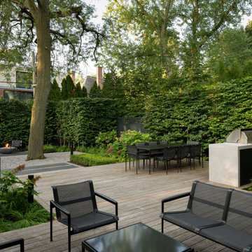 Contemporary Garden