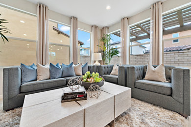 Example of a living room design in Orange County