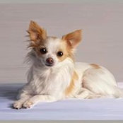 Janet Tyler's photo