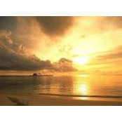Sinn Jye Chew's photo