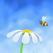 Kellie Cohen's photo