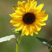 Trish Becker's photo