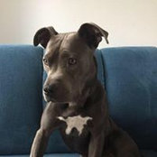 Foto von Pit Werke