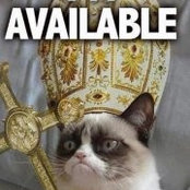 Michelle Paradis's photo