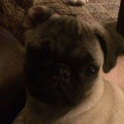 steven jurcak's photo