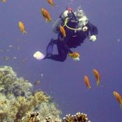 Derya Şenel's photo
