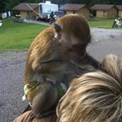 Tambra Johnson Vaughn's photo