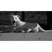 Barbara Gannon's photo